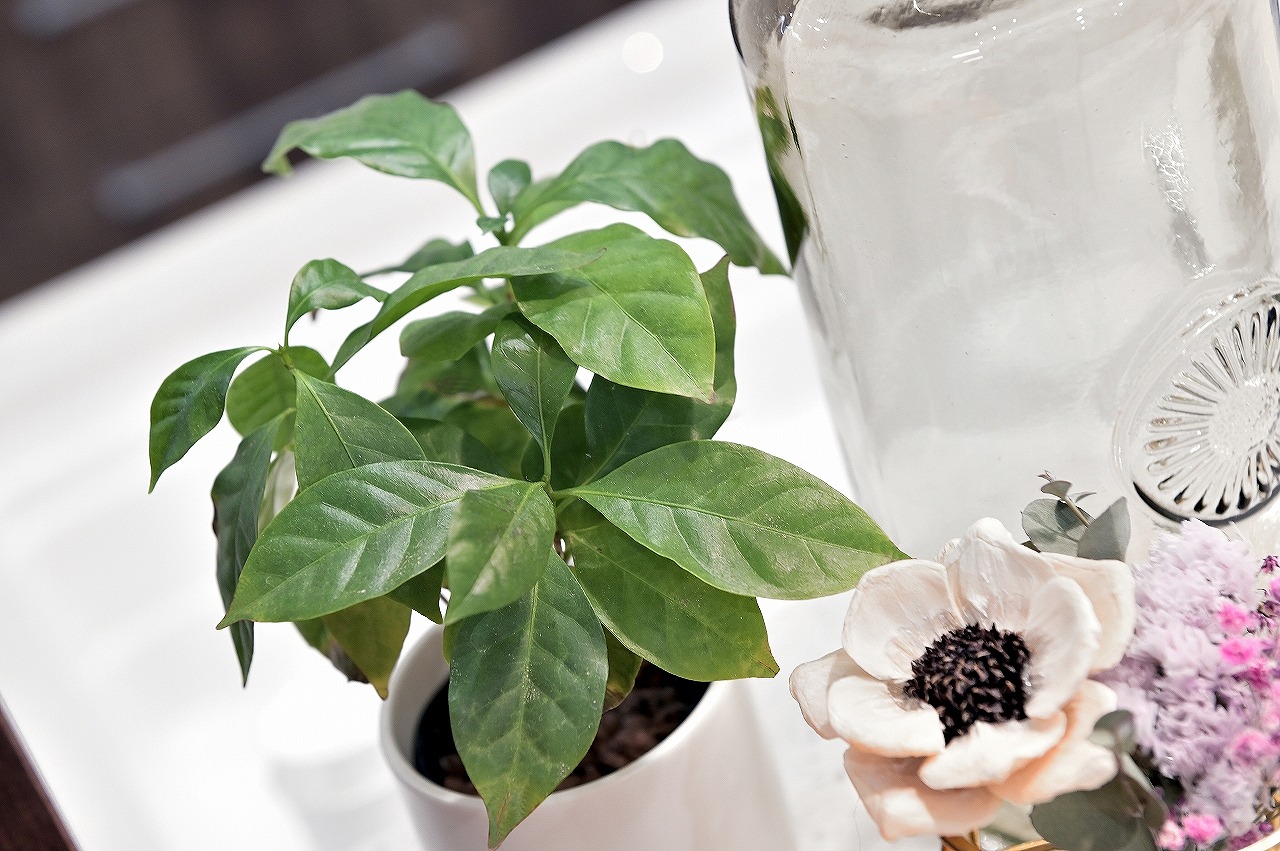 GREIGE／豊田市 GALLERY