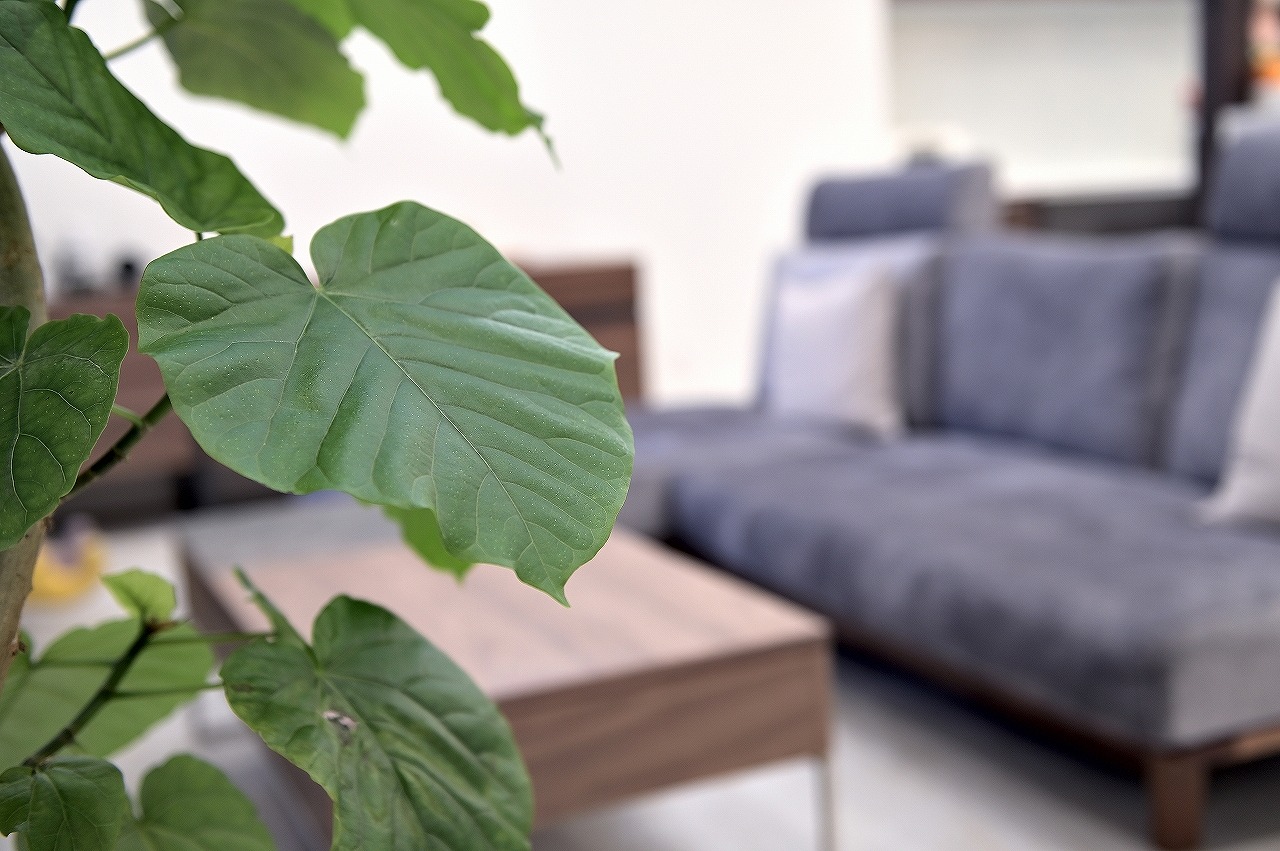 GREIGE／豊田市 GALLERY