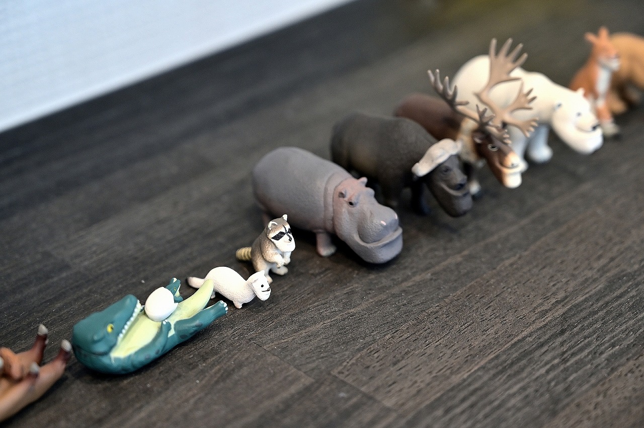 プライベートを守り生活感を見せない家／安城市 GALLERY