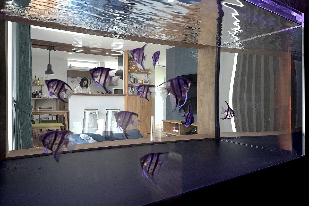 AQUA creation／岡崎市 GALLERY