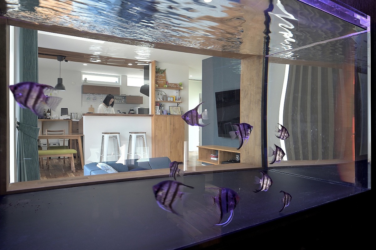 AQUA creation／岡崎市 GALLERY