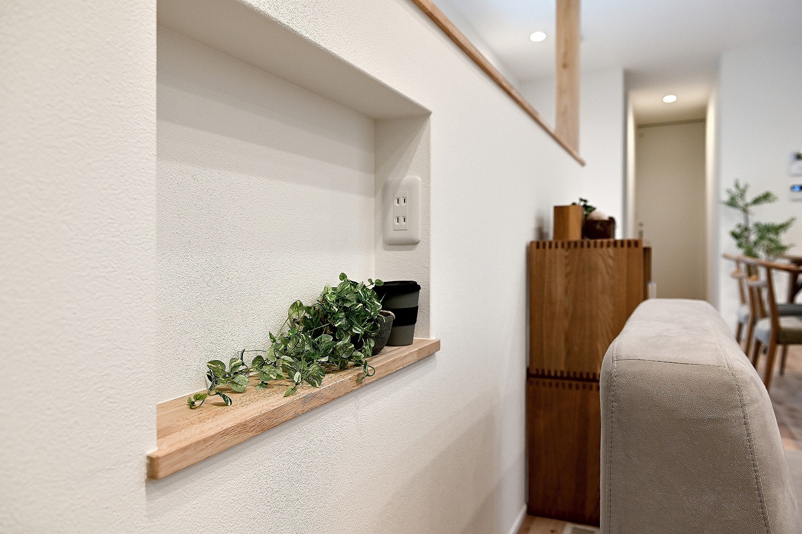 のびのび平屋／岡崎市 GALLERY