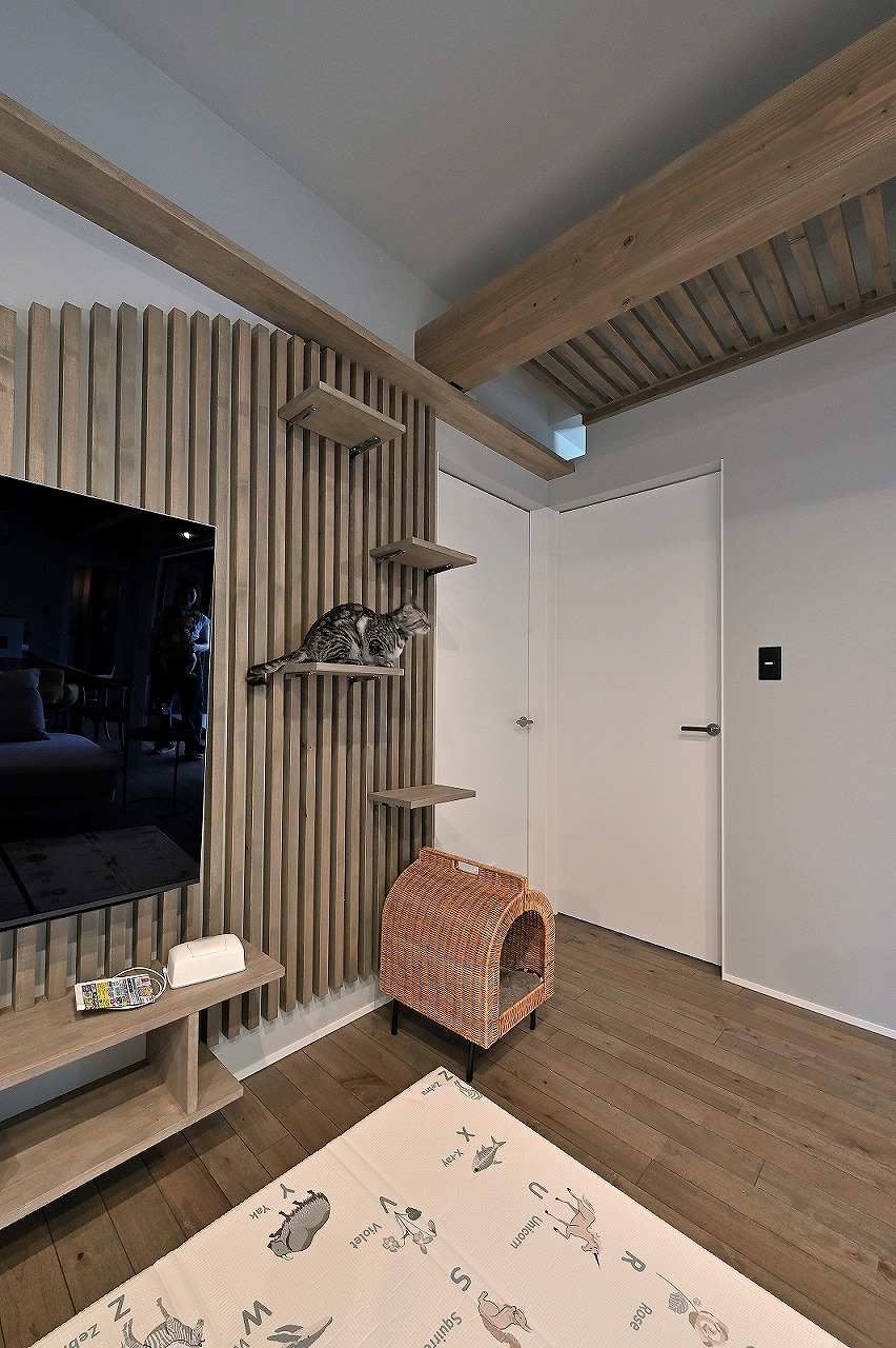 愛猫の天空回廊と暮らしやすさの邸宅／岡崎市 GALLERY