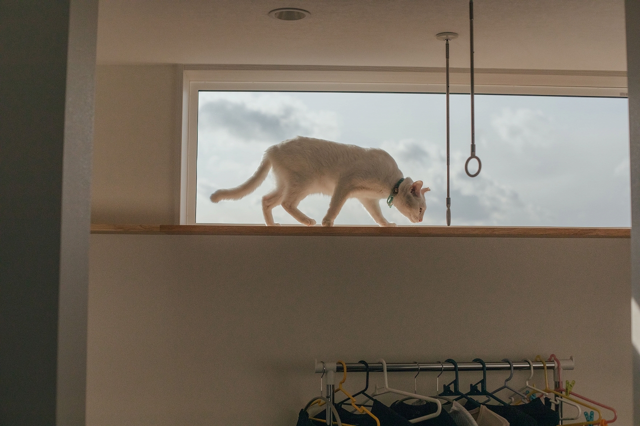 猫と暮らすリノベーション／豊田市K様邸 GALLERY